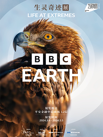 BBC Earth 生靈奇蹟展—自然紀錄片的極致影像記錄|展覽休閒 | 深圳平安金融中心PAFC MALL