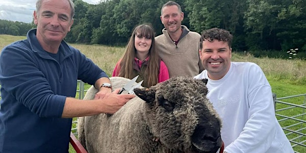 Meet & Greet with Coloured Ryeland Sheep | Tranwell Farm Campsite