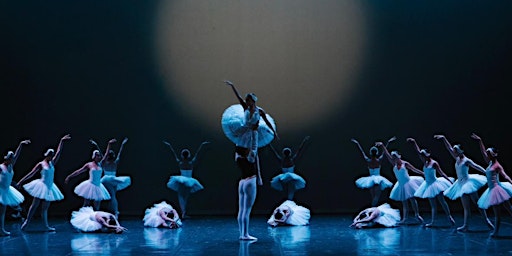 TCHAIKOVSKY GALA | Campo Teatrale