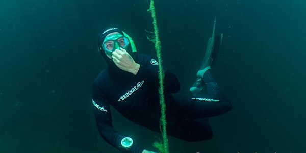 Two Day RAID Freediver Course | Vobster Quay