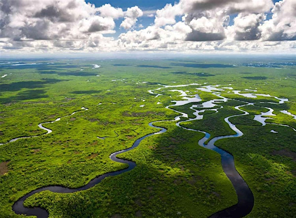 2025 Everglades Invasive Species Summit (ECISMA) | Long Key Nature Center