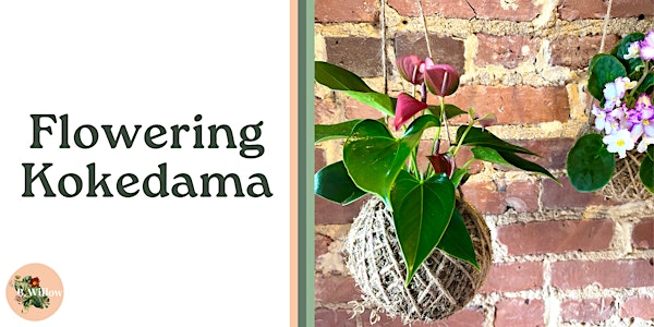 Flowering Kokedama Workshop | B.Willow
