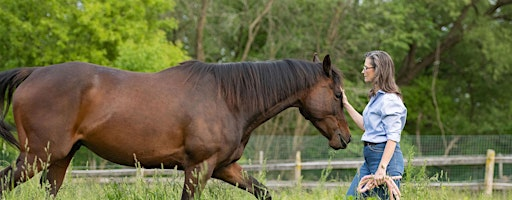 Meditation with the Horses | Smiling Faces Equestrian, 2677 Audley Road, Ajax, ON, Canada