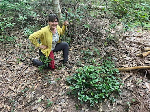 Habitat at Home - How to support wildlife in your own backyard | Coastal Alabama Community College: Dahlgren Hall