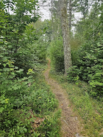 Wachusett NEMBA Monday Night Ride  - Leominster State Forest - Elm St Lot | 1022 Elm St