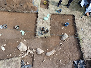 Tour of the King's Park Dig with Dr Murray Cook | Entrance to King Park (Meet at the Tennis Courts)