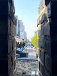 한국의 미, 수원 화성