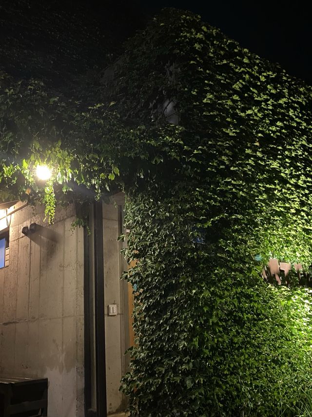 운치있는 제주 칵테일 바, 마틸다🍸