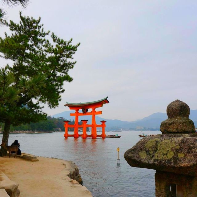 海上鳥居⛩️｜廣島