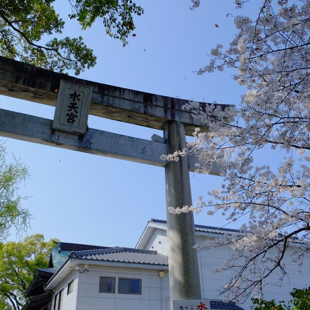 水天宮(福岡)