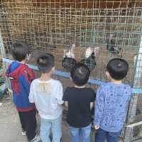 【 餵小動物的有機生態園 】