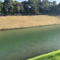 【千代田区】千鳥ヶ淵公園