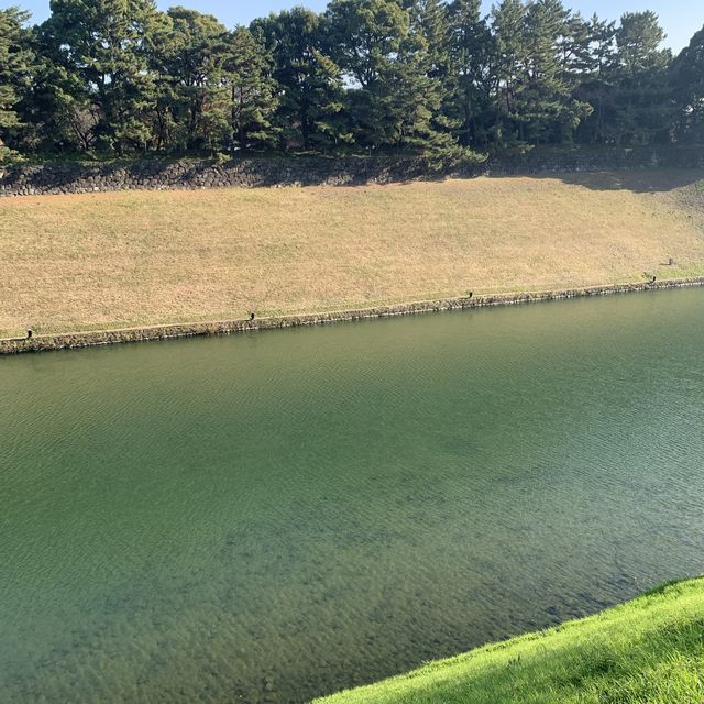 【千代田区】千鳥ヶ淵公園