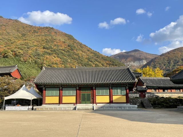 드라이브와 산책 둘 다 잡을 수 있었던 가족나들이, 밀양 표충사