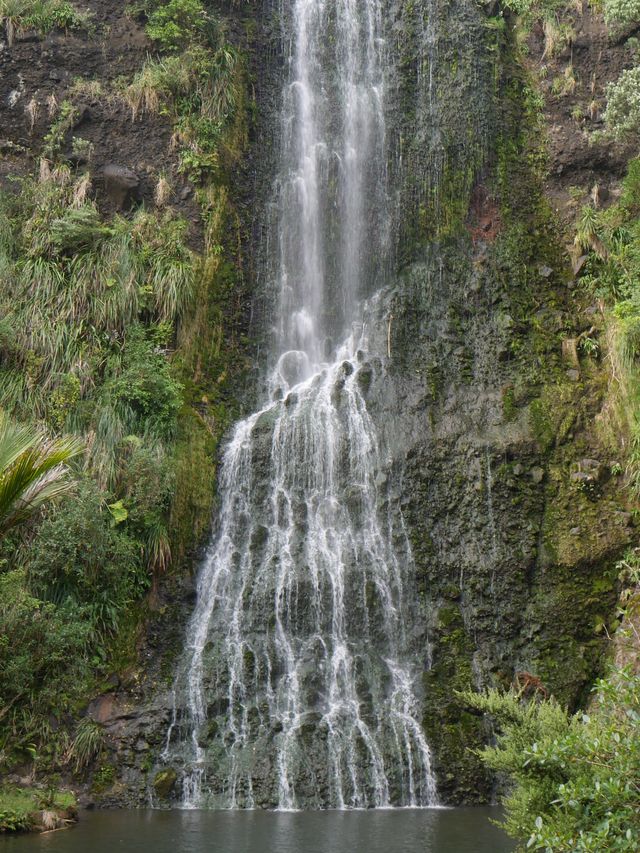 Must-visit waterfall nearest to Auckland! 