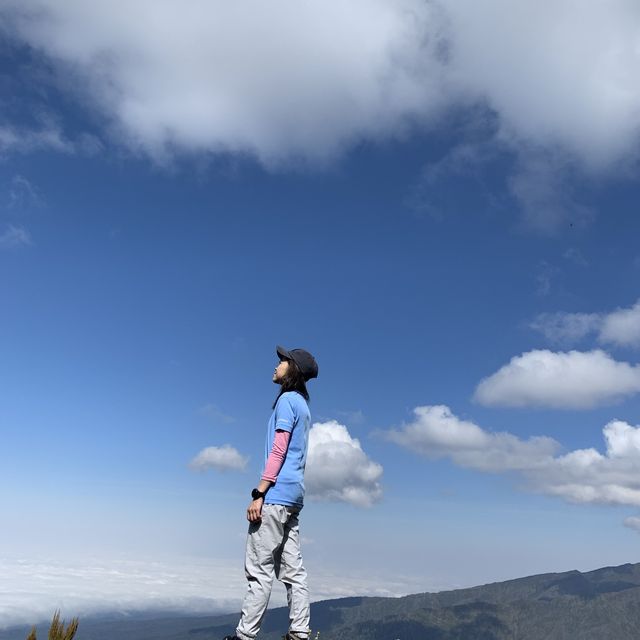 Hiking up Kilimanjaro 