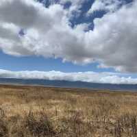Wildlifes at their best, Ngorongoro