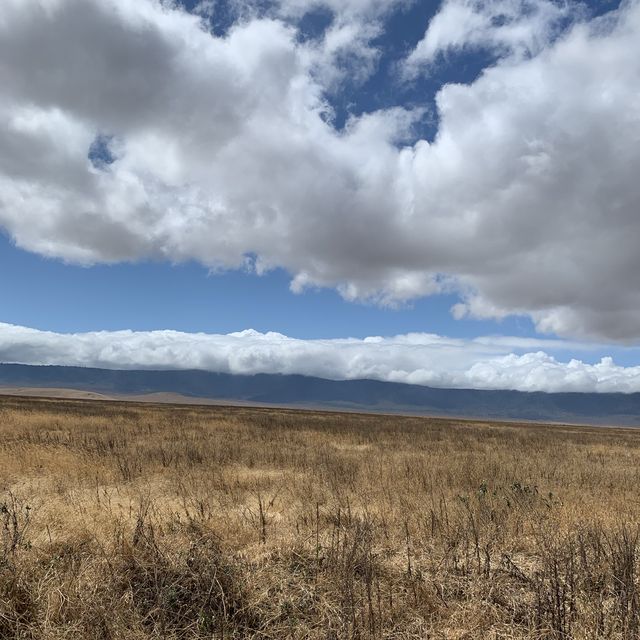 Wildlifes at their best, Ngorongoro