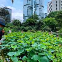 香港公園🏞鬧市中尋找一點寧靜😌