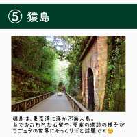【全国】まるでジブリな日本の島5選