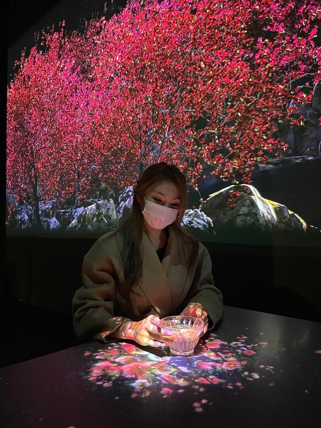 [아르떼뮤지엄] 사진맛집 강릉 이색여행 🧸💜