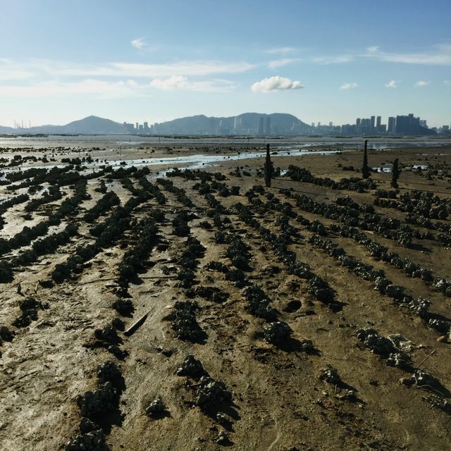 下白泥的日落