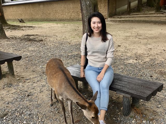 好想去日本！世界文化遺產：奈良東大寺～還有好多可愛的🦌