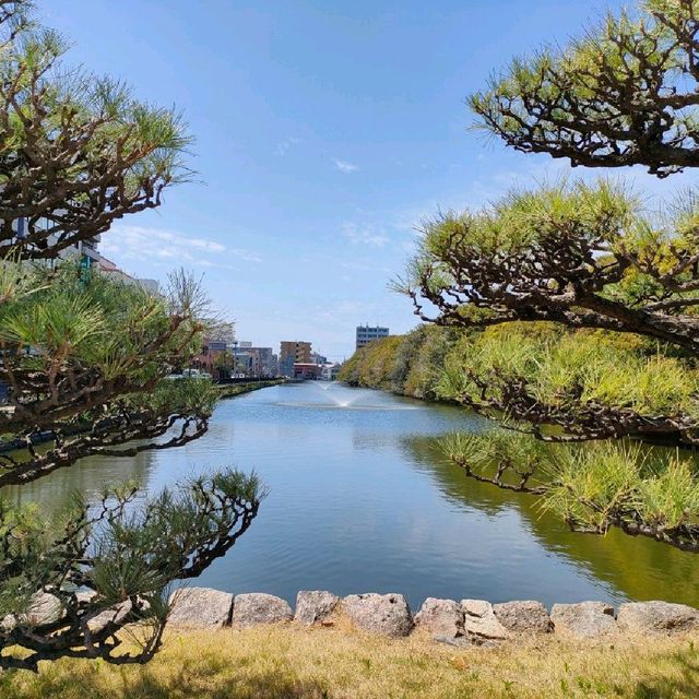 【兵庫 明石城跡】 美しすぎる城跡💗💗💗🌸
