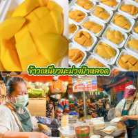 ข้าวเหนียวมะม่วงป้าหลอด กาดหลวงเชียงใหม่ 🥭💛