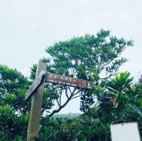 西灣山行山路線~