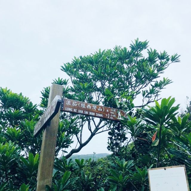 西灣山行山路線~ 西灣山行山路線~
