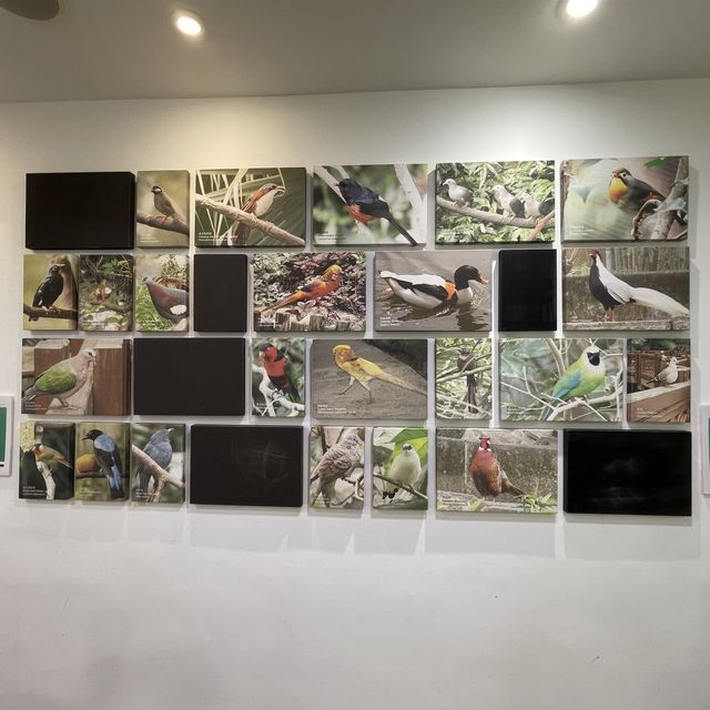 尤德觀鳥園@香港公園