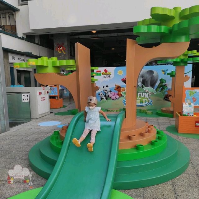 一個地點兩個展覽