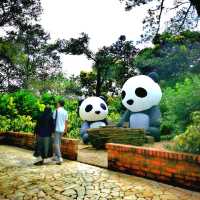 Greenary day out @ Bamboo Garden