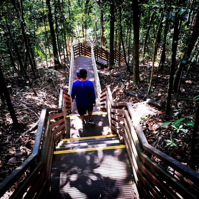 A Weekend Hike in Macritchie Trial 