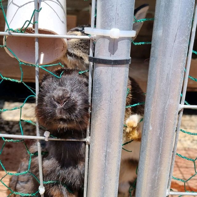 우영우가 데이트했던 고래카페, 김포 수산공원
