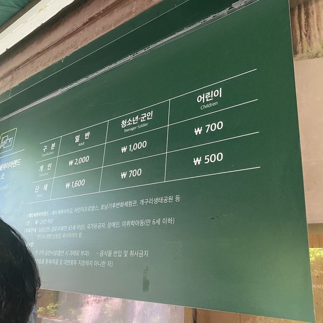 담양🌱 여름도 이쁜 단풍맛집 메타세콰이어길