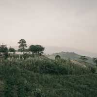 ภูแสนดาว