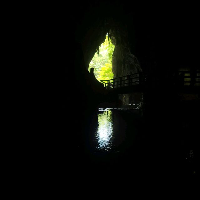 【山口県】秋芳洞窟