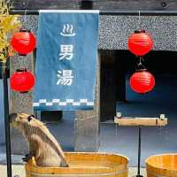 宜蘭綠舞國際觀光飯店 