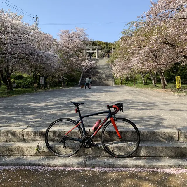 春頃の西公園