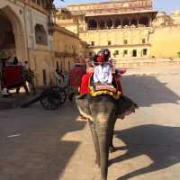 the gigantic Amer Fort