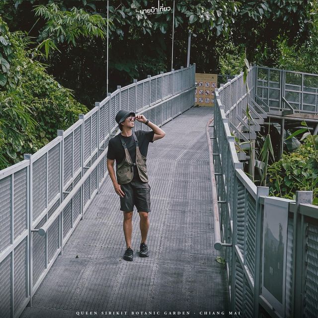  𝐂𝐚𝐧𝐨𝐩𝐲 𝐖𝐚𝐥𝐤𝐰𝐚𝐲  เชียงใหม่