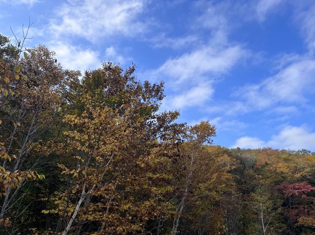 【青森】リフレクションの絶景✨蔦沼の紅葉