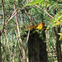 Indore zoo worth one day trip