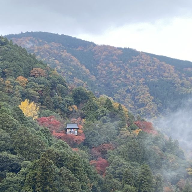 日本貴族的別苑所在地 – 京都嵐山(竹林道和龜山公園)