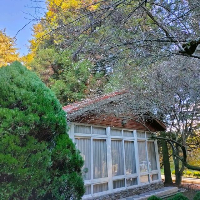 世外桃源-福壽山農場