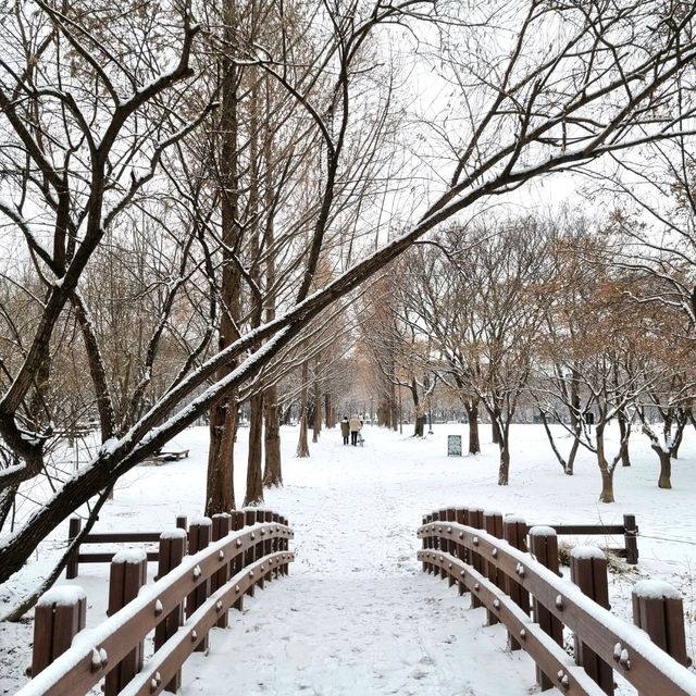 ❄️ 눈이 오면 서울숲 공원으로