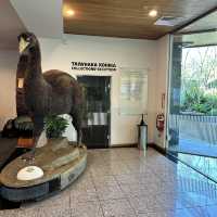 NZ 紐西蘭 南島 但尼丁 奧塔哥博物館