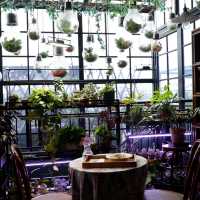 看海植物園cafe之微波爐食物